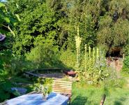 Kräutergarten-Experiment