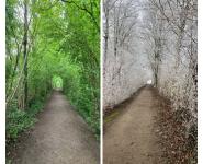 Wanderung