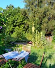 Kräutergarten-Experiment