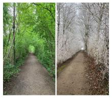 Wanderung